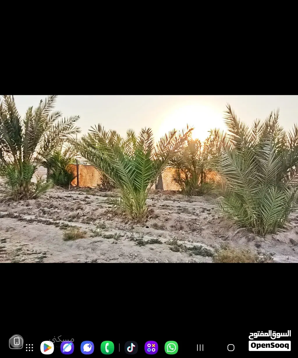 ارض زراعيه للبيع