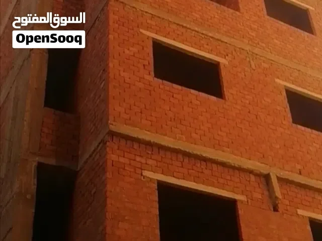 تفرعات الخمسين العدل Bm12