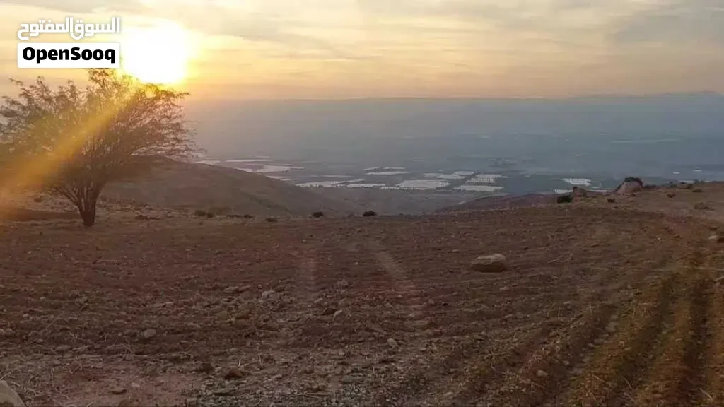 أرض للبيع من المالك 4 دونم بداخل كمباوند السلط حمرة الصحن على رأس تلةمطلة على فلسطين اطلالة بانوراما