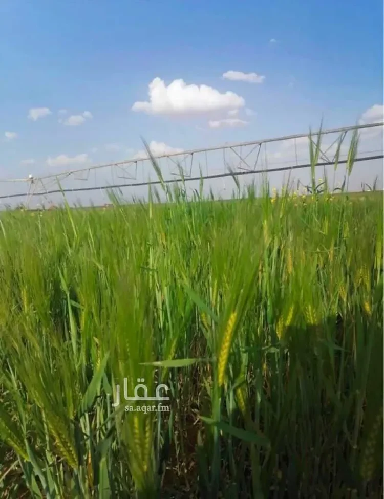أرض للبيع في حي مزارع شمال تيماء (جريش)