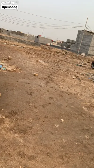 قطعه ارض زراعي مساحتها 270 متر الصالحيه كوت الكوام بالقرب من سيد جابر