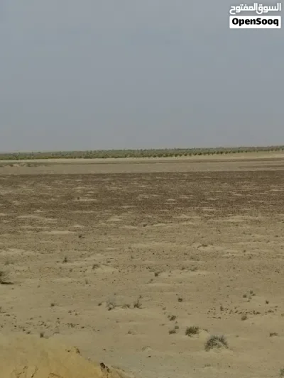 ارض استصلاح زراعي ببئر مياه بوادي المغرة بسعر لؤطة للجادين فقط لكجالات استثمار متعددة ومميزة جدا جدا