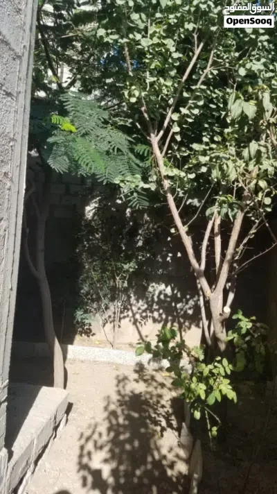 بيت اربع لبن ونص على شارعين