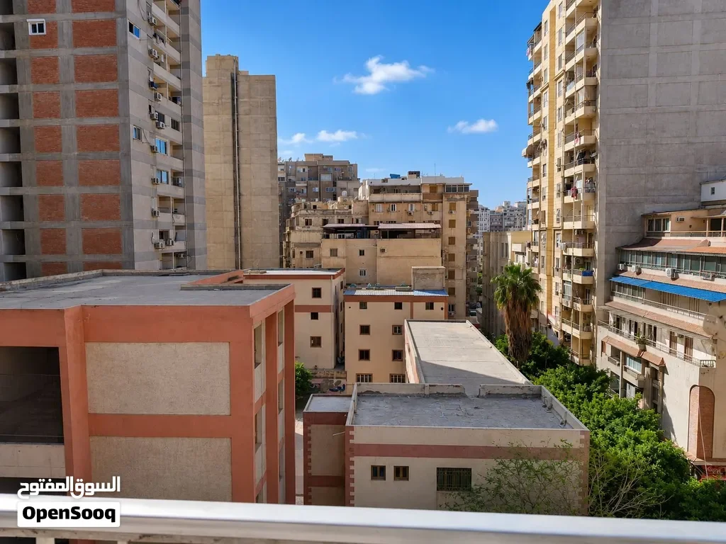 شقة مفروشة مميزة للإيجار في فلمنج متفرع من الترام وشارع ابو قير خطوات لرشدى  – الإسكندرية — شقة في الإسكندرية
