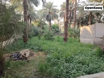 وقيف زراعي في بلد سرور بولاية سمائل للاستثمار، محاذي لممشى سرور السياحي وبجانبه كافيه وقيف وكافيه