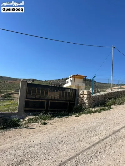 مزرعه مطله وكاشفه في عنيبه جرش قرب اوستراد الزرقاء جرش
