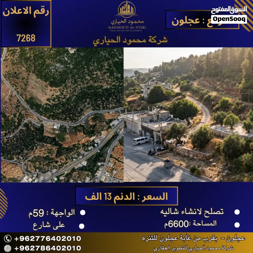 إعلان رقم ( 7268 )  فرصة استثمارية ذهبية في قلب الطبيعة الساحرة - عجلون — أرض في عجلون