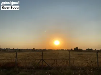 ارض للبيع في مزارع العباسية قبل جامعة النور على الشارع العام مساحة دونم