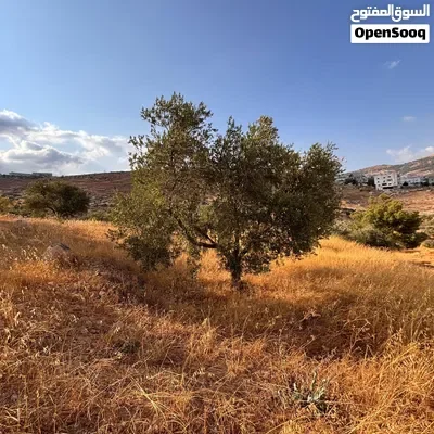 قطعة أرض في جرش / بعل وادي الدير