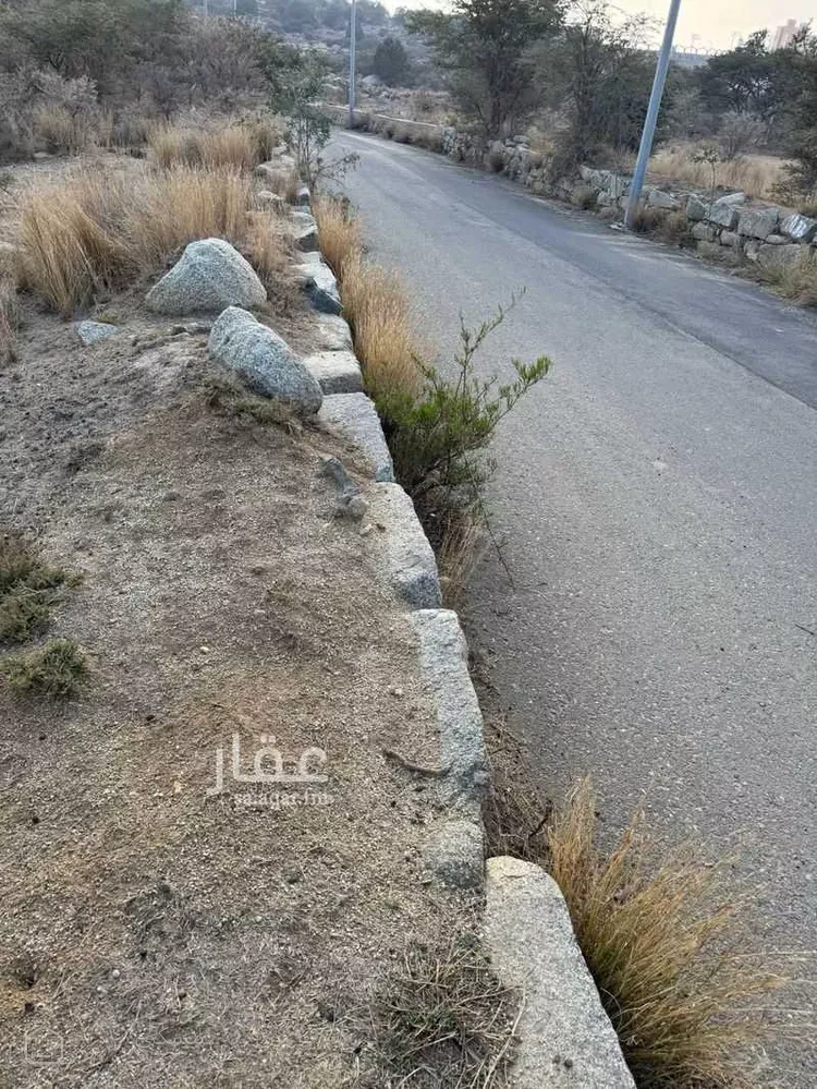 أرض للبيع في شارع قيس بن عاصم