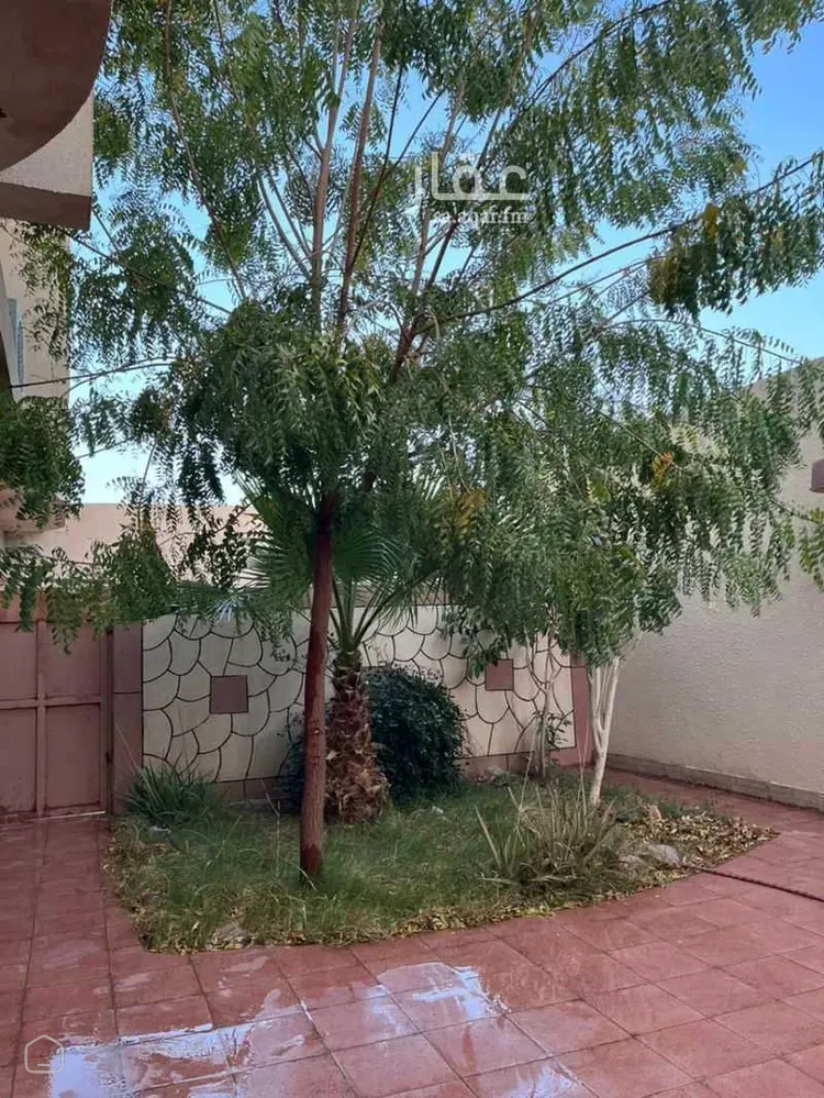 شقة للبيع في شارع الرشيد