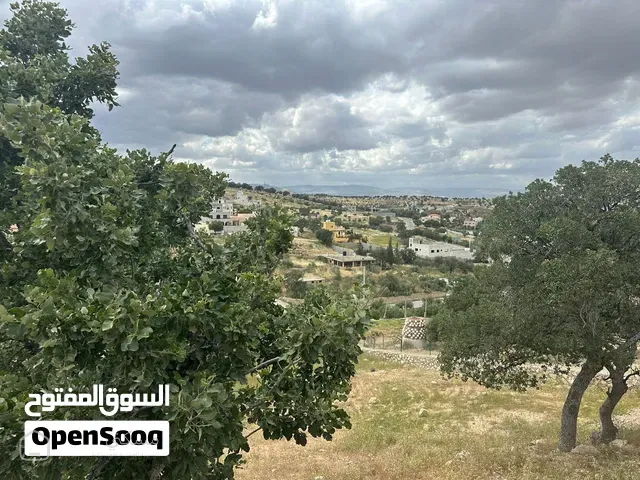ارض مميزة العالوك ( المسره ) إطلالة جميلة حولها شاليهات