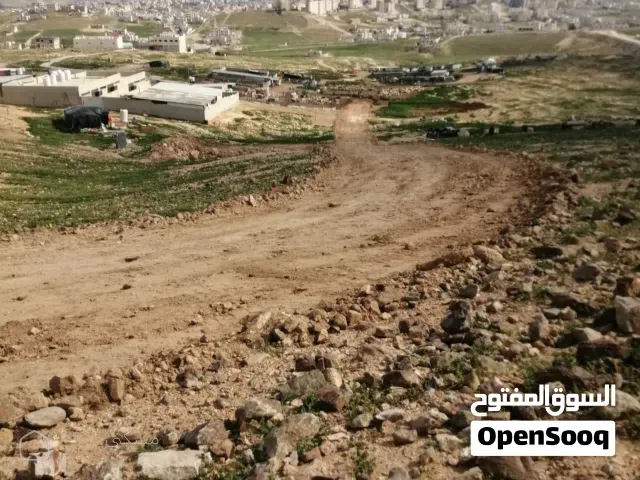 ارض للبيع الزرقاء الجديدة البتراوي الجنوبي فوق المسبح والملعب اعلى نقطة بالمكان تم فتح الشارع