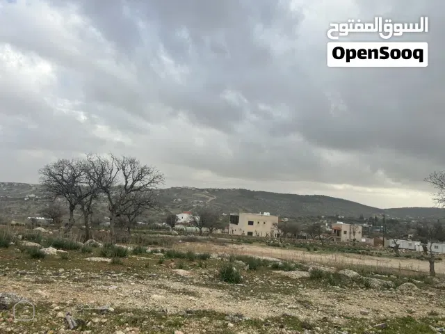 ارض العالوك تل القمر مميزة جداً بجانب فلل
