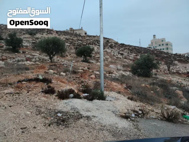 3 دونمات مغاريب السلط اطلالة ع الغرب بسعر مميز
