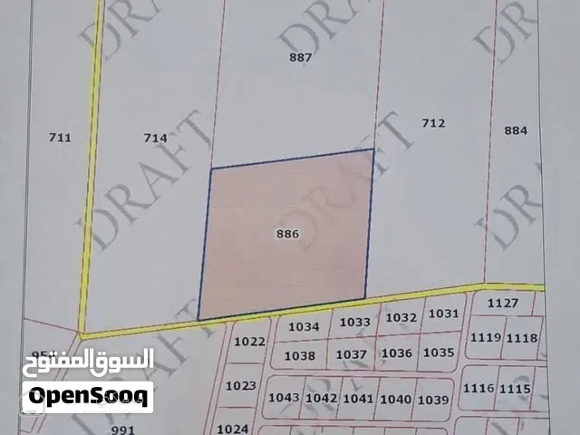 65 دونم بالاشرفية قرب عمان الجديده 25كيلو من مالكها مفروزة بقوشان مستقل
