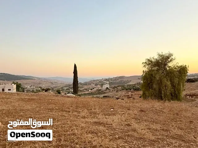 قطعة أرض مميزة للبيع – جرش /أم قنطرة