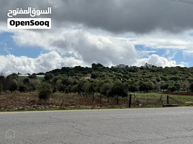 ارض للبيع على الشارع الرئيسي عجلون - اربد من المالك