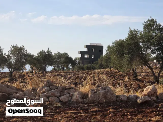 ارض للبيع في عجلون قرية الوهادنة قوشان مستقل 30 دونم مزروع فيها زيتون اطلاله غربية مميزه