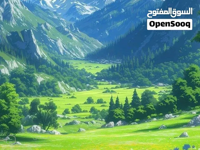 مطلوب ارض زراعية للضمان السنوي في اليادوده