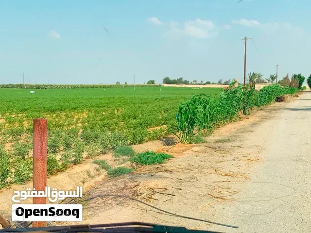 ارض زراعيه