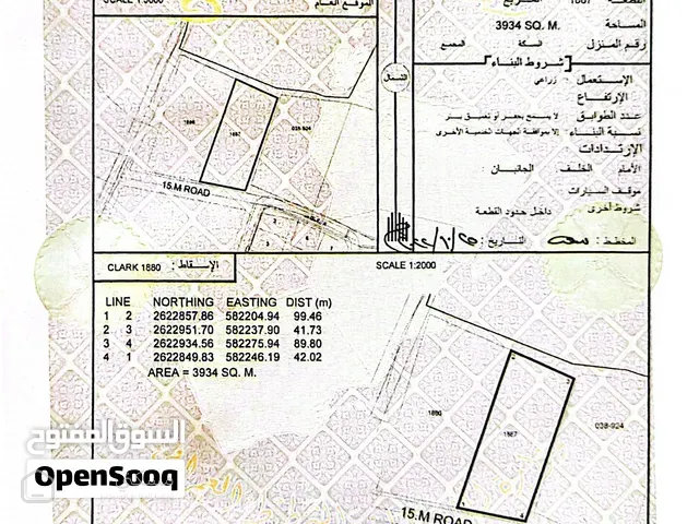قطعة أرض زراعية كبيرة فرصة استثمارية
