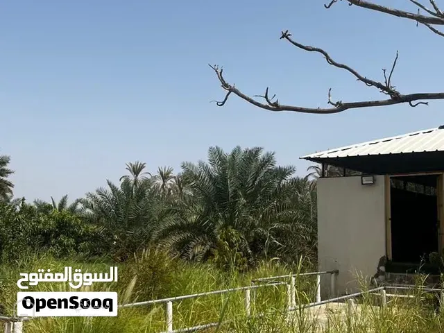 مزرعه القويعه سناو للبيع من المالك مباشره
