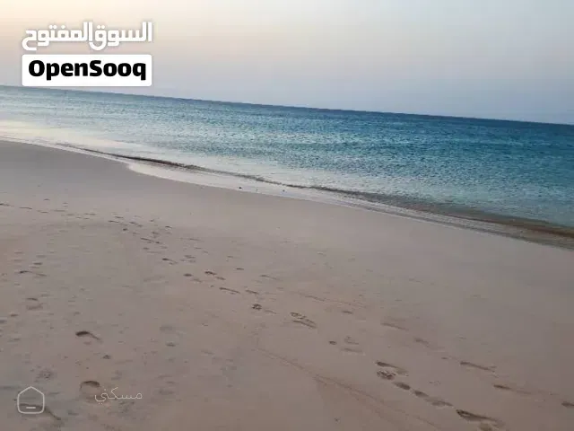 ارضية كبيرة للبيع في سقطرى مطلة على البحر مباشرة بجانب فندق باب البحر مساحتها 36 ألف متر بسعر عرطة